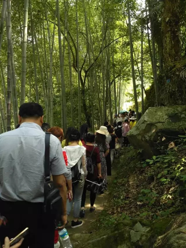 美丽乡村潜山行系列二(图3) 美丽乡村潜山行系列二(图3)
