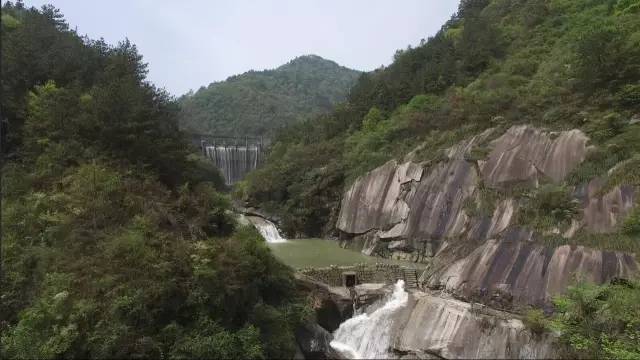 相同的生命，不一样的人生(图1)