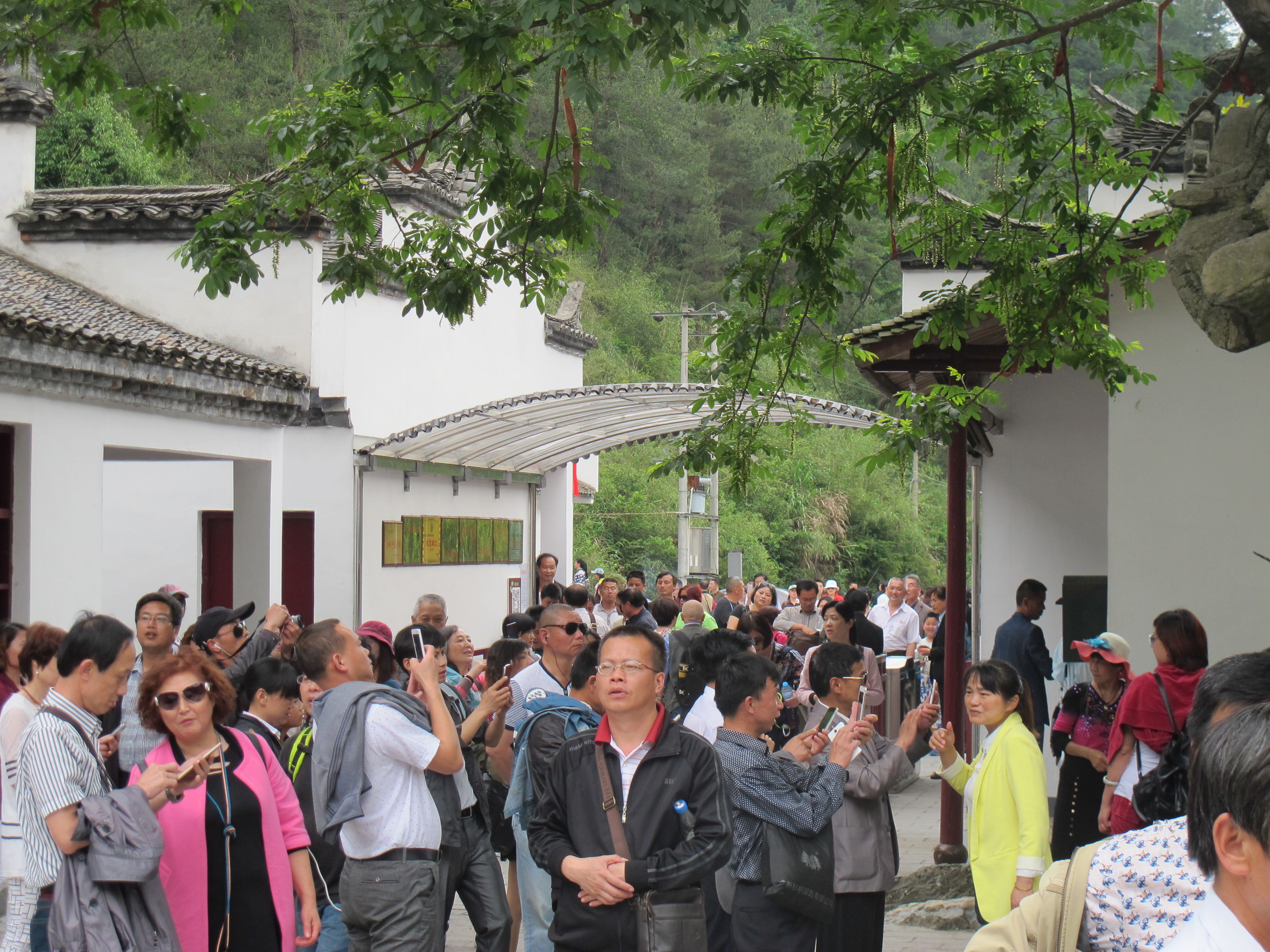 即日起天龙关景区免票了(图3)