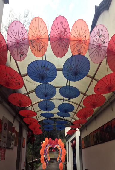 纸伞节(图3) 纸伞节(图3)
